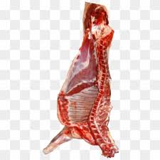 Half lamb