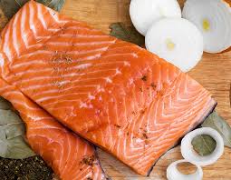 Salmon